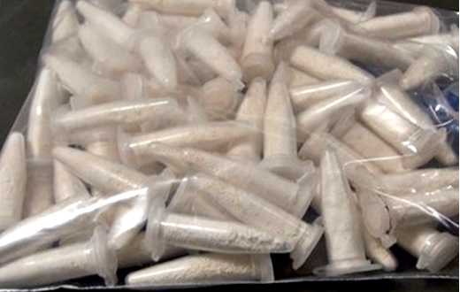 PM faz apreensão de 228 pinos de cocaína na Cohab I