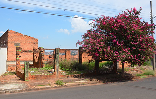 Imóvel na Vl. Maria é usado para descarte de lixo e uso de drogas