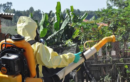 Dengue em Botucatu chega a 38 casos positivos