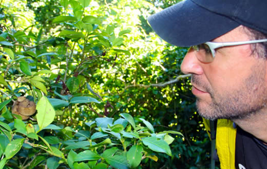 Trabalho do Cevap é atração da TV Discovery Channel