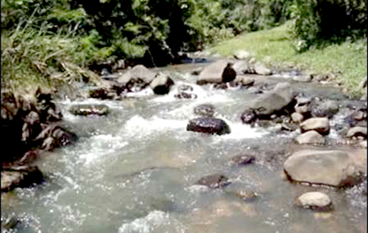 Meio Ambiente realiza Passeio Ecológico das Águas