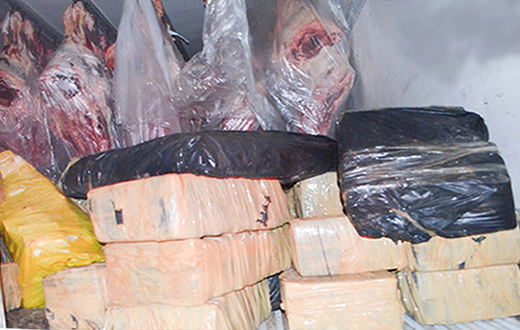 Ação da DISE de Botucatu ganha repercussão nacional