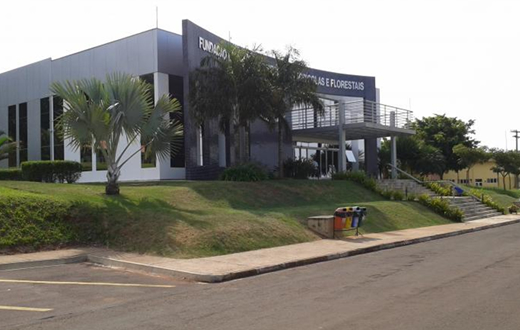 Fazenda Lageado sedia pequenique Down-Hora