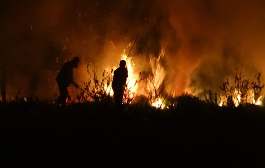 Parlamentar pede ajuda do governo para Bombeiros
