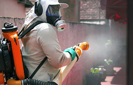 Sebrae convoca empresários ao combate ?  dengue