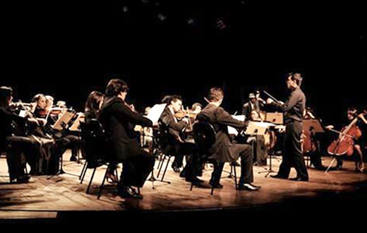 Academia de Letras e Câmara promovem sessão conjunta