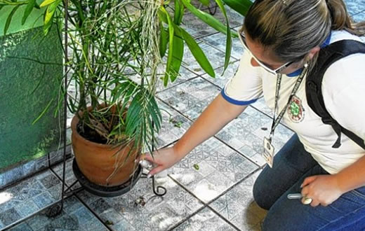 Dengue deixa Botucatu em estado de emergência