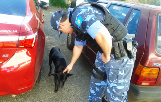 GCM registra denúncia de maus tratos contra animais