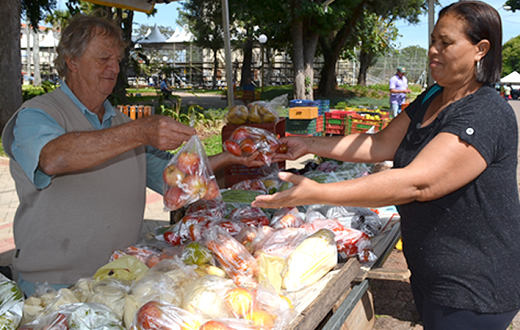 Feira da Catedral permanece em atividade ha décadas