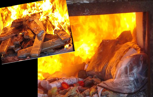 DISE faz a incineração de 1,4 toneladas de maconha