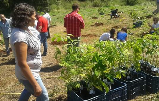 Projeto visa recuperar matas ciliares e nascentes