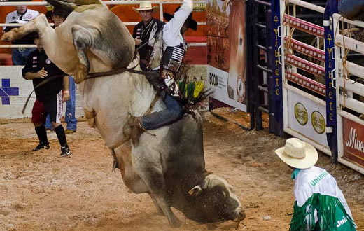 Festa do Peão em Bofete acontece durante cinco dias