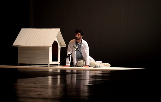 Espetáculo teatral Banho & Tosa passa por Botucatu