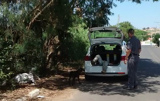 Homem é assassinado a pauladas em Conchas