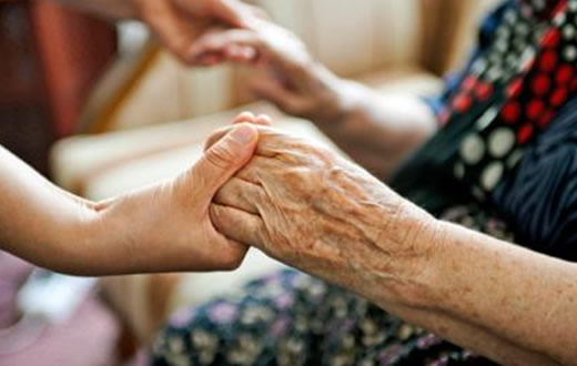 Nova Aurora sedia Conferência dos Direitos do Idoso