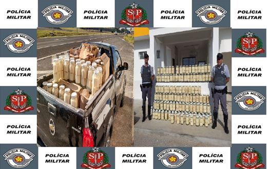 Polícia Rodoviária apreende 334 kg de palmito