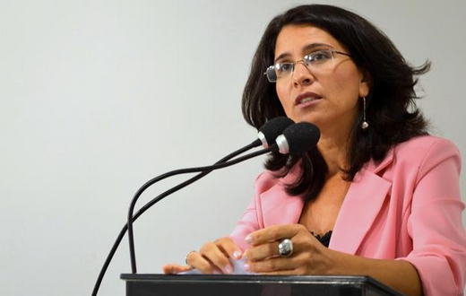 Petista quer Executivo no plano de combate a incêndios