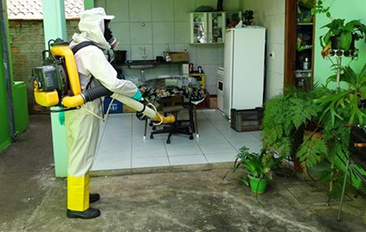 Saúde intensifica combate ao mosquito da dengue