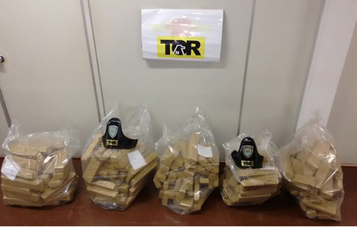 TOR faz apreensão de mais de 700 kg de maconha