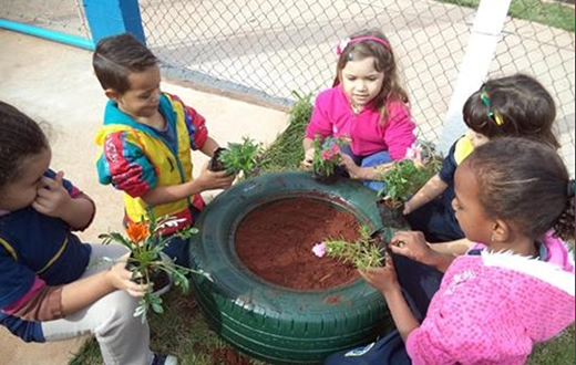 Alunos começam a receber educação ambiental