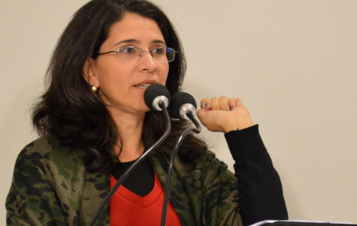 Vereadora quer debate sobre projetos dos piscinões