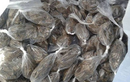 Adolescente é sindicado em crime de tráfico