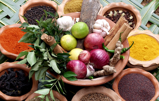 Botucatu terá curso de medicina milenar indiana