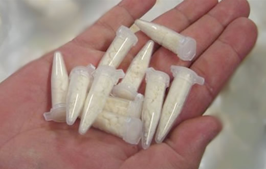 Flagrante tráfico é realizado pela PM na Vila Paulista