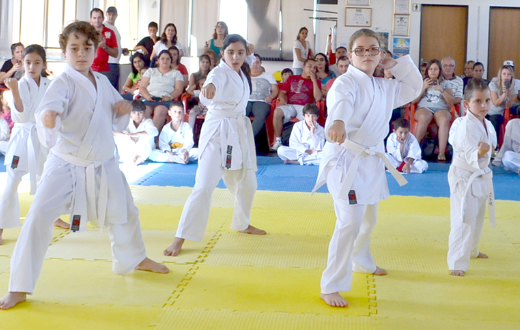 Equipe Seno realiza festival para troca de faixas do karatê