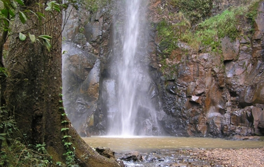 Legislativo debate preservação de área ambiental