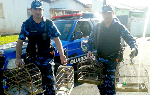 GPA registra ocorrência de infração ambiental