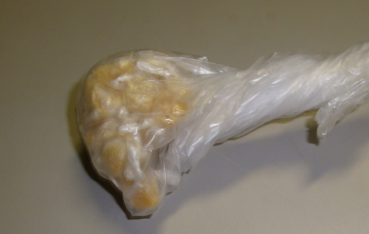 PM realiza flagrante de tráfico no Jardim Ciranda