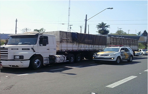 TOR faz apreensão de 688 quilos de maconha em Pardinho TOR faz apreensão de 688 quilos de maconha em Pardinho