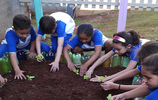Areiópolis realiza projeto de Horta Educativa em escolas públicas Areiópolis realiza projeto de Horta Educativa em escolas públicas