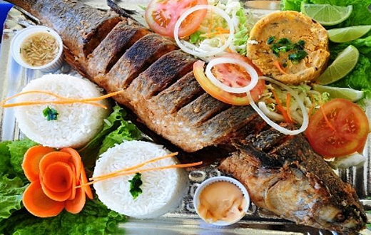 Associação Pelicano promove a 7ª Festa da Tainha