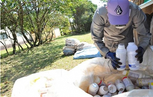 Produtores fazem recolhimento de embalagens tóxicas Produtores fazem recolhimento de embalagens tóxicas