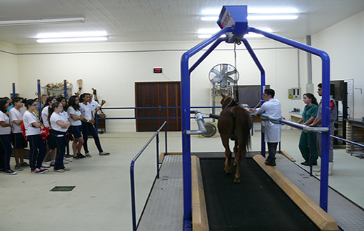 FMVZ/Unesp recebe os estudantes do ensino médio
