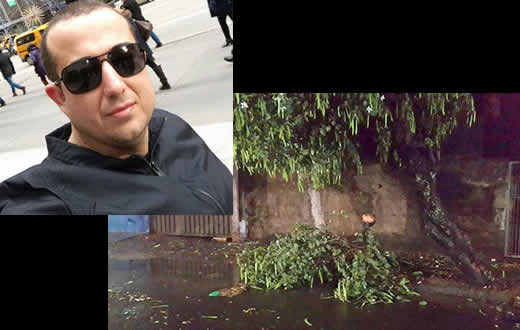 Botucatuense perde a vida após bater carro em árvore