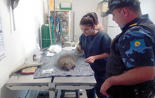 Grupo Ambiental faz resgate de animais silvestres