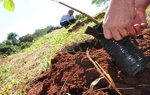 Meio Ambiente e Sabesp fazem plantio de 100 árvores Meio Ambiente e Sabesp fazem plantio de 100 árvores