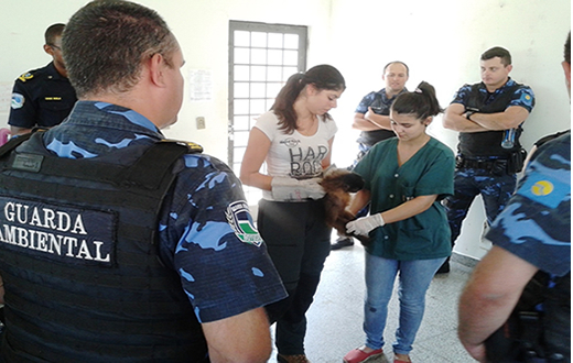 Guarda Municipal passa por treinamento no Cempas