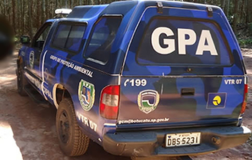 Grupo Ambiental  faz o resgate de jibóia e teiú