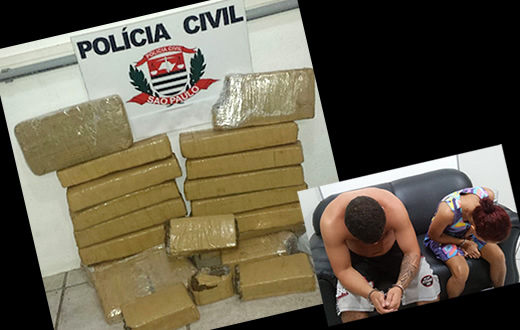 DISE apreende 15 kg de maconha na Vila Antártica