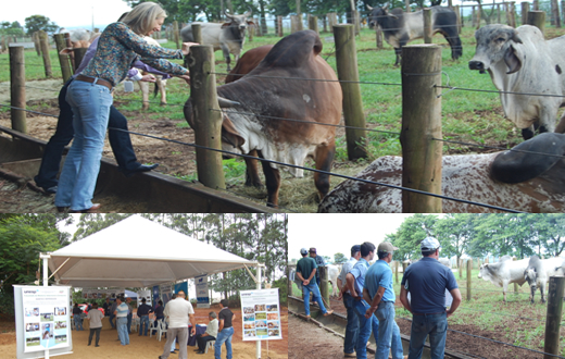 Faculdade de Agronomia sedia a Feira de Touros