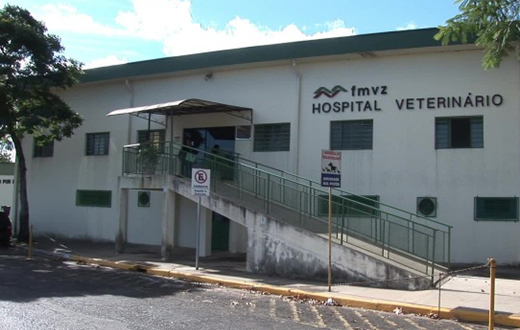 Atividades do Hospital Veterinário serão suspensas