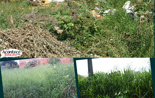 Prefeitura fecha o cerco contra terrenos sujos na Cidade