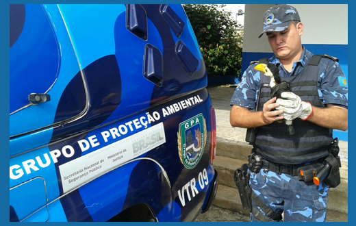 GCM realiza diversas ações efetuando patrulhamento