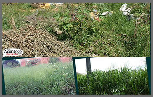 Prefeitura intensifica ações contra terrenos sujos