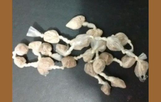 Mãe e filho são presos pela PM  acusados de tráfico