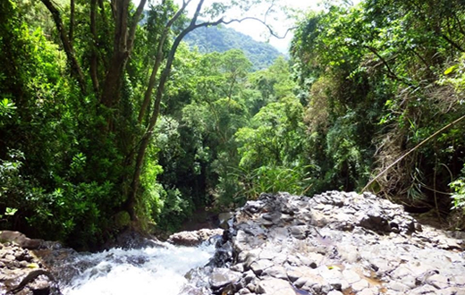 Pastoral da Ecologia promove passeio na Cuesta